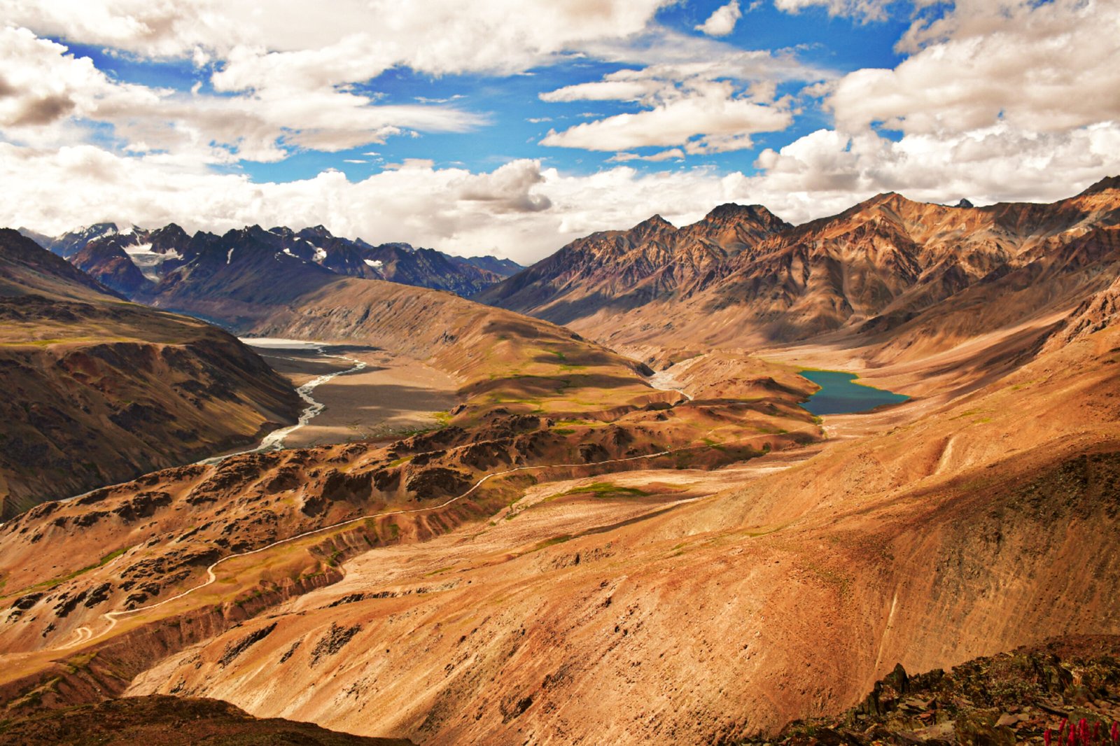 Spiti Wildlife Division